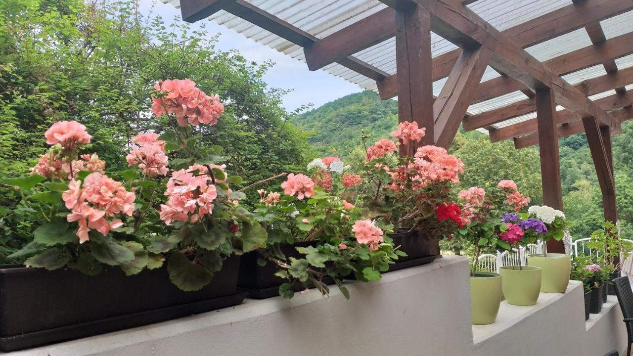 Moselina Ferienwohnungen Sankt Aldegund Dış mekan fotoğraf