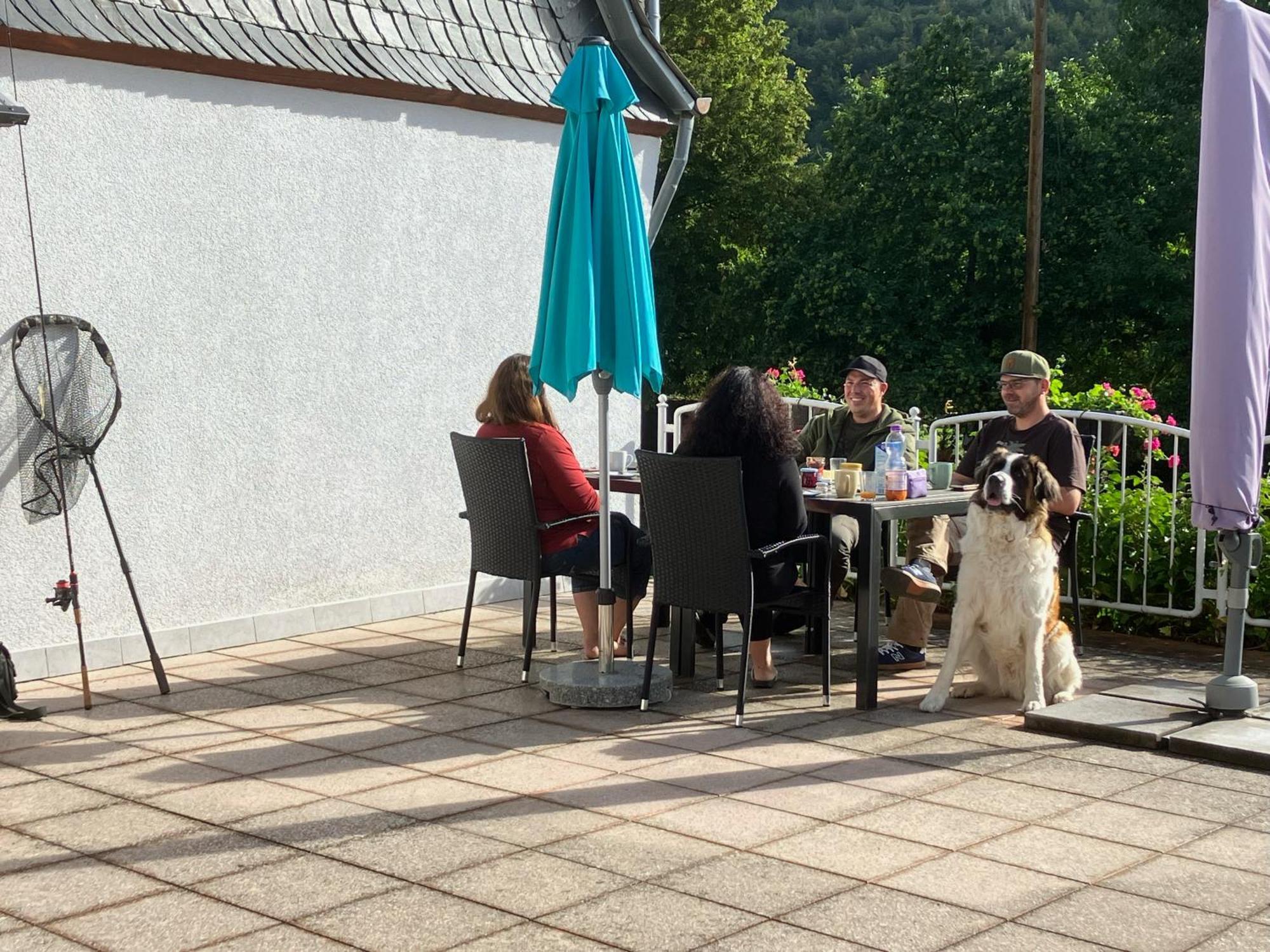 Moselina Ferienwohnungen Sankt Aldegund Dış mekan fotoğraf