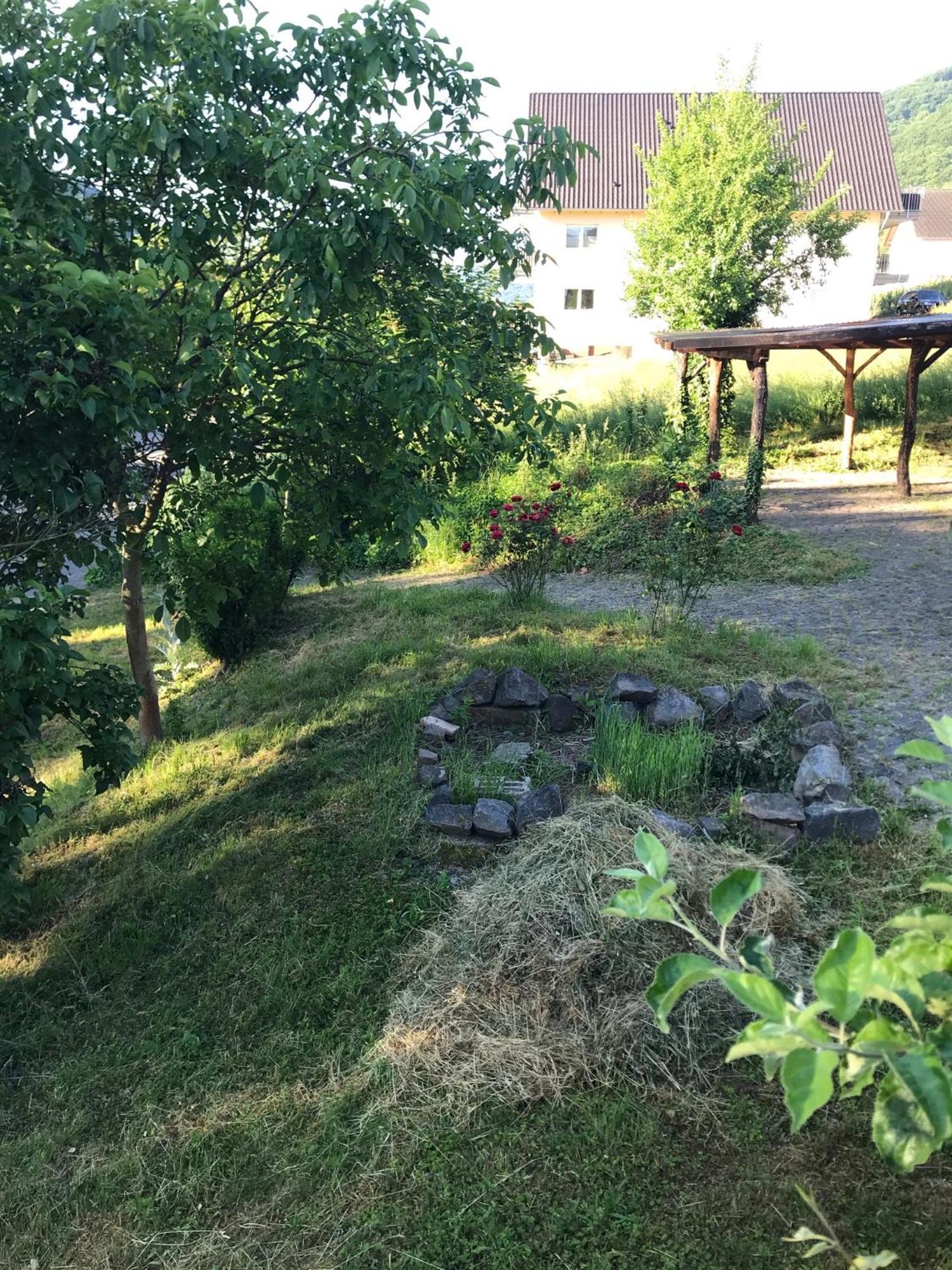 Moselina Ferienwohnungen Sankt Aldegund Dış mekan fotoğraf