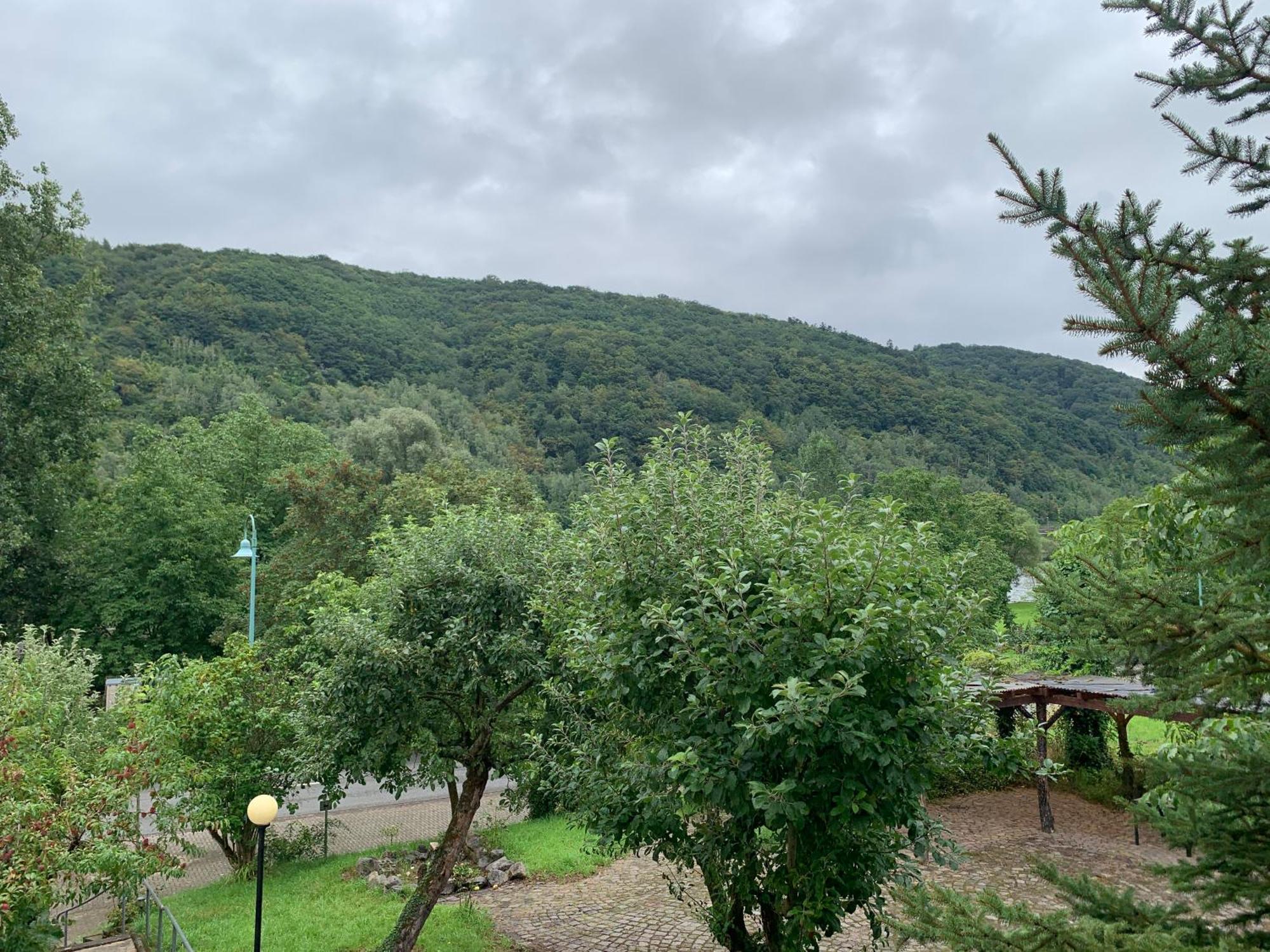Moselina Ferienwohnungen Sankt Aldegund Dış mekan fotoğraf